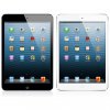   Apple iPad Mini 2